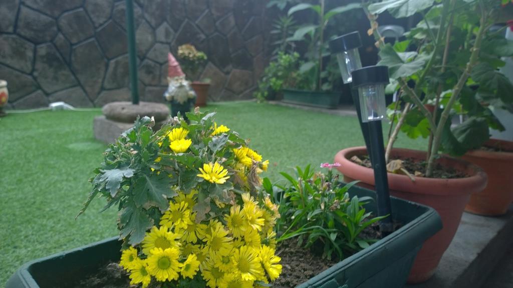 Bed & Breakfast Blumen Haus Santiago del Cile Esterno foto