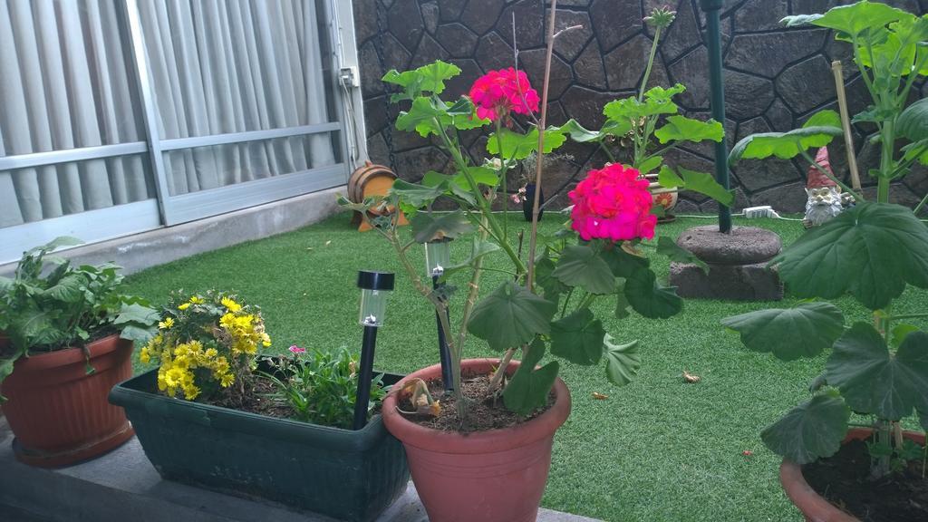 Bed & Breakfast Blumen Haus Santiago del Cile Esterno foto