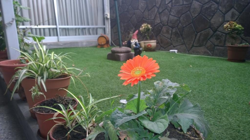Bed & Breakfast Blumen Haus Santiago del Cile Esterno foto