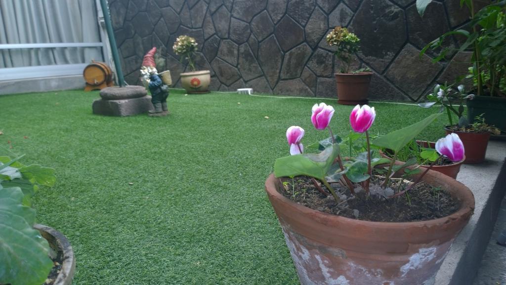 Bed & Breakfast Blumen Haus Santiago del Cile Esterno foto