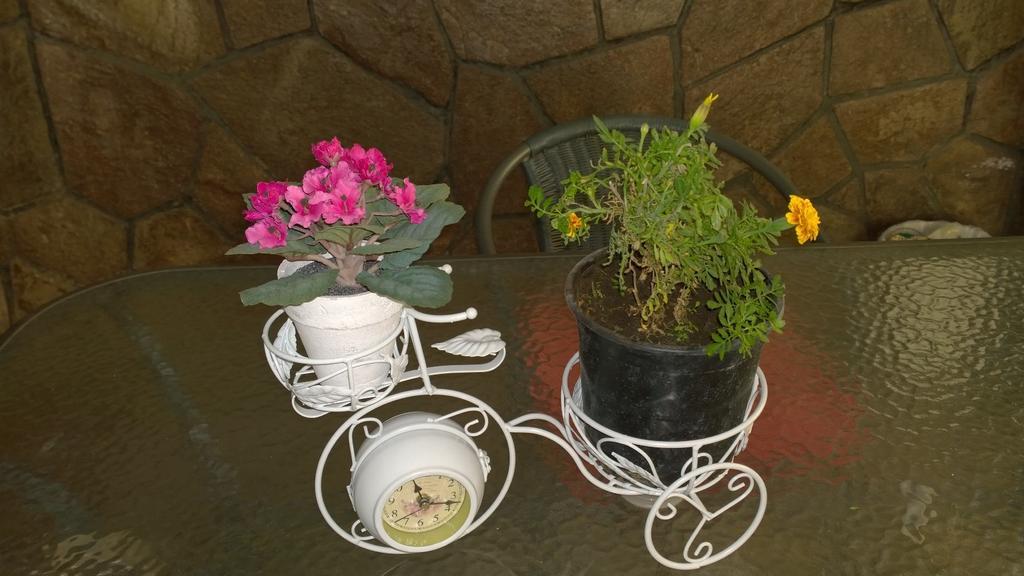 Bed & Breakfast Blumen Haus Santiago del Cile Esterno foto
