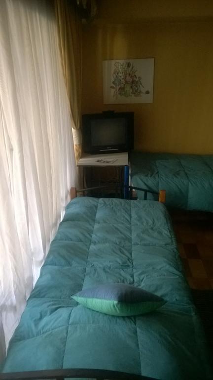 Bed & Breakfast Blumen Haus Santiago del Cile Esterno foto